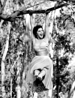 signorinapierangeli:  Pier Angeli 1954 