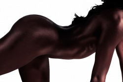 Mindkontrol:  The Curve Aka Musculature Svelte, Seductive And Ultra-Sexy…Chocolate