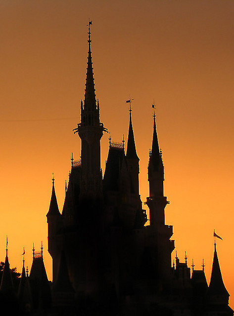 lalalovedisney:  Isn’t it breathtaking? You can even see the wire faintly where