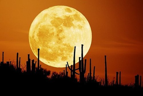 Supermoon on March 20, 2011