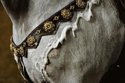 theequus:© Yann Arthus-Bertrand