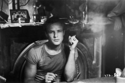 vintagegal:  Marlon Brando in “A Streetcar Named Desire” 1951