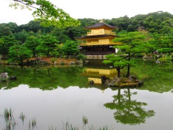sooner961:  Kinkakuji (Golden Pavilion) Zen