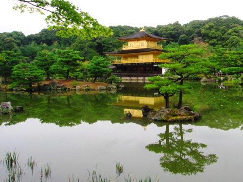 Porn photo sooner961:  Kinkakuji (Golden Pavilion) Zen