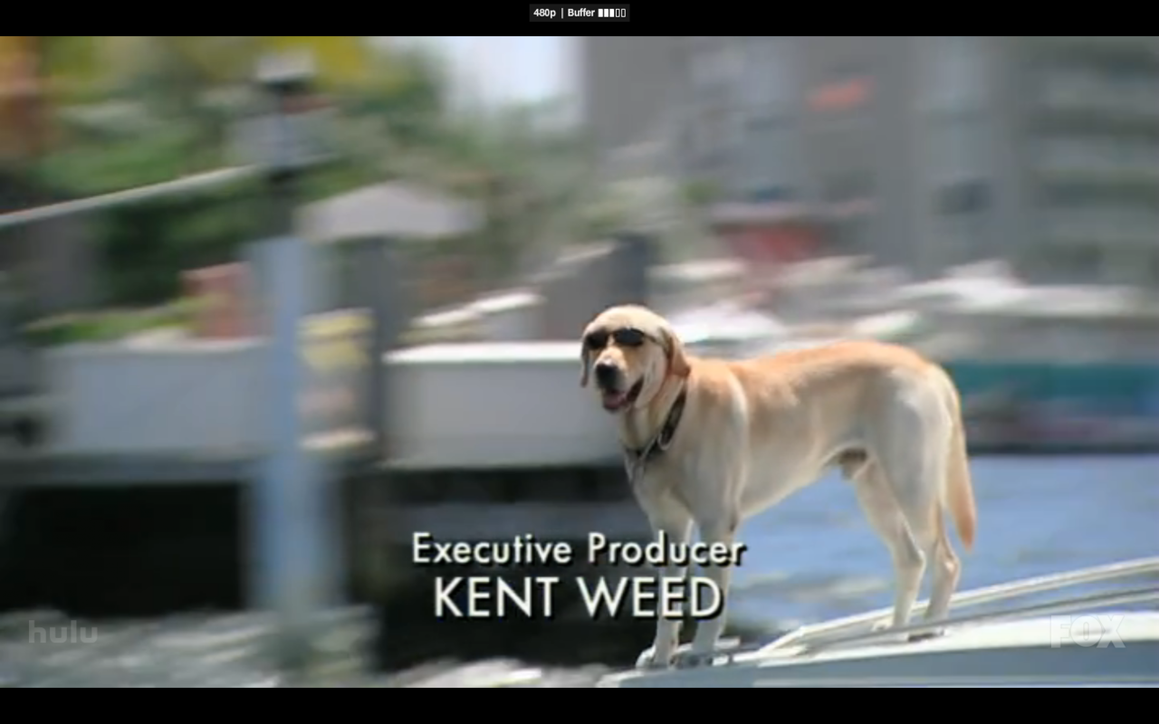 heintzer:  THHHHISSSSS ISSSSSS MEEEEEEEE to clarify I am both the dog and Kent Weed