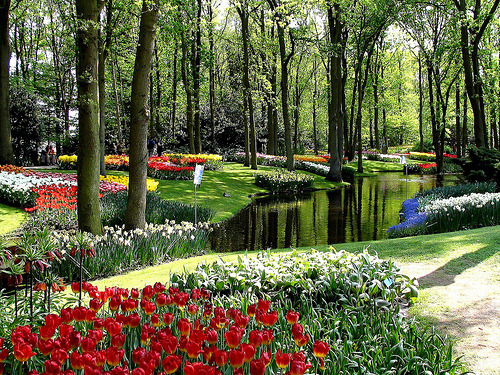 Largest Spring bulbflower garden in Europe | Keukenhof, Lisse, Netherlands
© coanri