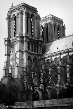 moimemephoto:  Notre Dame Cathedral, Paris,