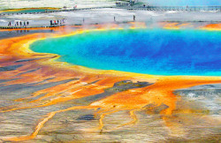 geneticist:  The Grand Prismatic Spring The vivid colors of the spring are the result of pigmented bacteria that grow in the water. The blue color in the center of the spring is the result of the light-absorbing overtone of the hydroxy stretch of water.
