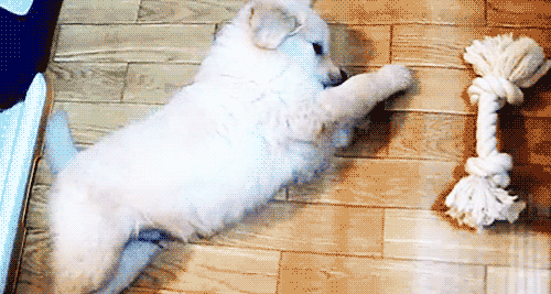 That moment when you want something but you’re too lazy to get up to get it.
