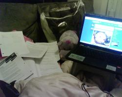 When you dont have a table in your room, but a sofa. PUSH THAT DAMN SOFA OVER, and it becomes a table. :D homeworks that i didn&rsquo;t even touch since 9 am. omg, dont you like my hippo?! XD 