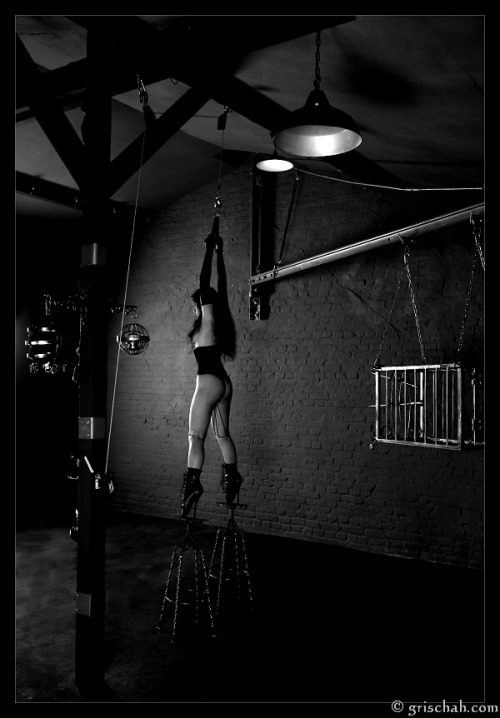A Fallen Angel's Musings