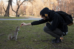 nickmoooore:  In the Boston Commons feeding