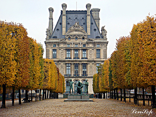 lascenariste:  allthingseurope:  Jardin des Tuileries, Paris  (by LenSOP)  Sometimes