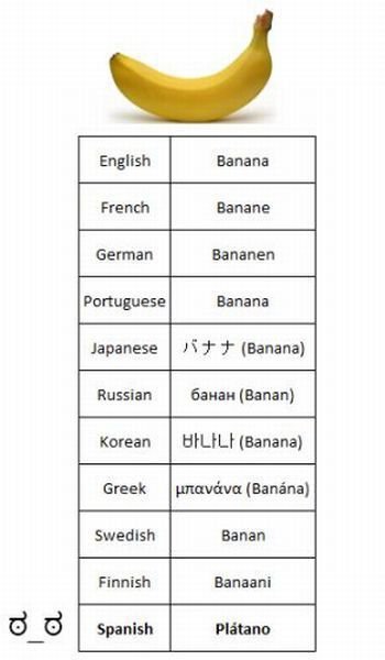 snoipahkat:  futuramatime:  haha  what the fuck, spain  Technically, a Platano is