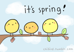 chibird:  thanks for the ideas you guys!