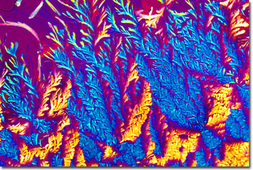 Porn photo Microscopic view of drugs