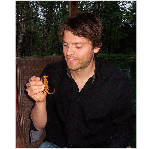 morelikeaninja:  tweethappymishamigo:  How to train Misha’s dragon  As Misha’s