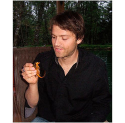 Morelikeaninja:  Tweethappymishamigo:  How To Train Misha’s Dragon  As Misha’s