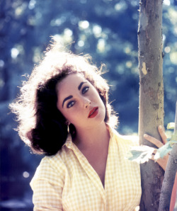 vintagegal:  Elizabeth Taylor R.I.P. February