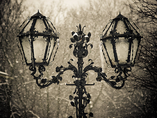 balloonoverbabylon:  And that lamp post grew and stayed until that world ended, through