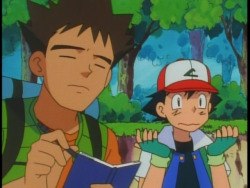 Screenshots of Pokémon