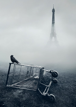 skiribilla:  hcj, mariwo013: Paris.. (via