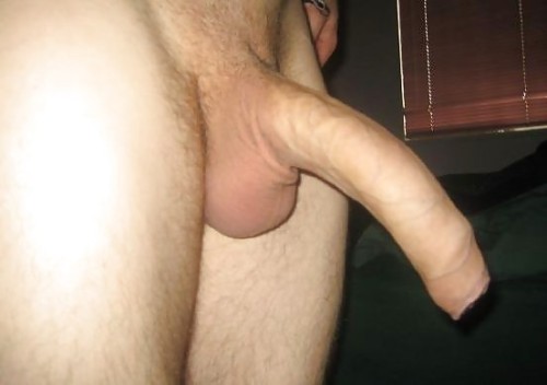 hungdudes:  ducatihung12:  swedishdick:  porn pictures