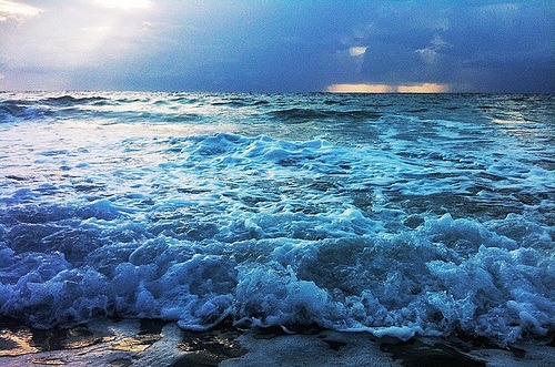 surferdude182:  (by Andy Royston)