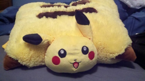 reallyjanelle:  Pikachu pillow pet! :3  O-O