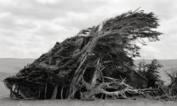 Abandoned House, for Reasons Unforeseen photo