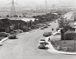 Street With Boy And Dog Photo By Bill Owens, 1972