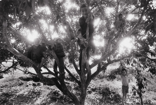 untitled photo by Sebastião Salgado; Thailand, 1987