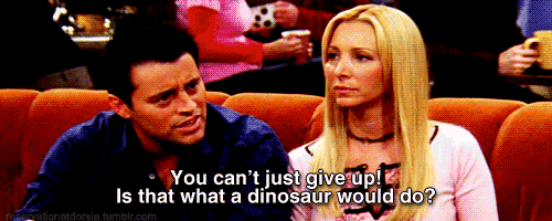 gifs-gifs-gifs-gifs-gifs:   