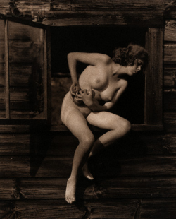 firsttimeuser:
“ Nude
© Sean Sexton
”