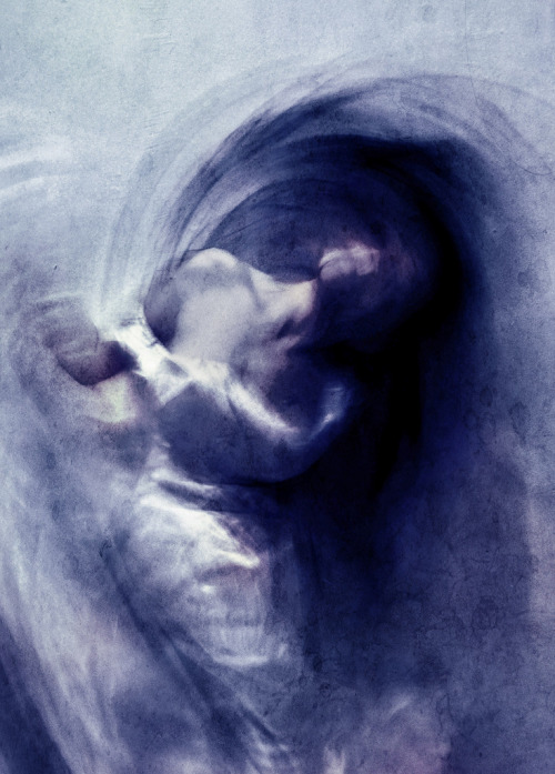 oxane:  blue  yell saccani