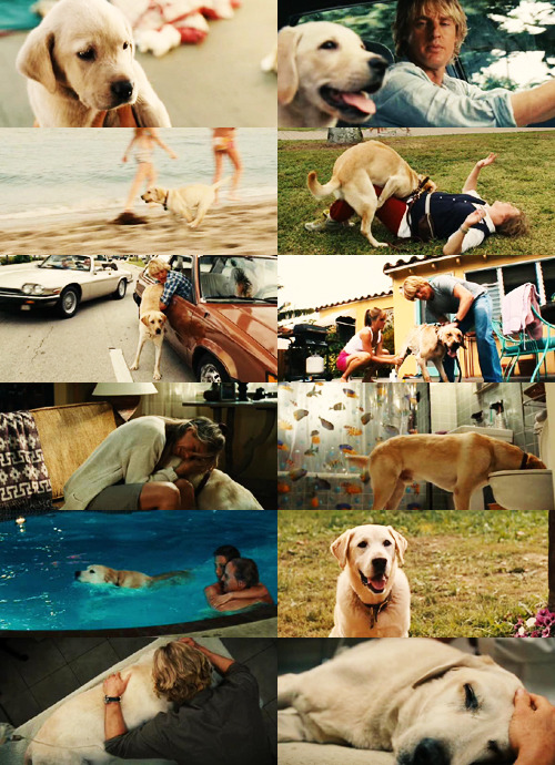 heartachesandcheapwine:   John: A dog has no use for fancy cars, big homes, or designer