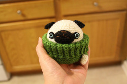 boodapug:  knit pug  :3 &lt;3