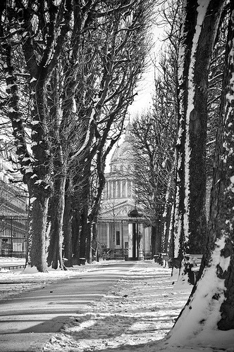 bonparisien:  Pantheon (by cochet_chris) 