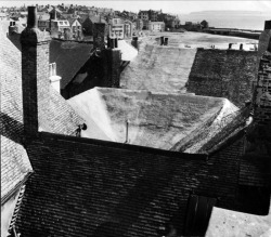 regardintemporel:  Roger Mayne - Rooftops, St Ives, Cornwall, 1953 