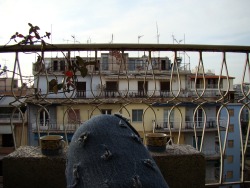 &ldquo;Sunday Chillin&rsquo; On The Roofs Of Unstable Buildings&rdquo; Photo by petrito. 