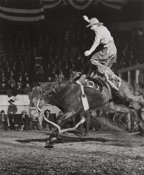 Harold Edgerton. Rodeo , 1940