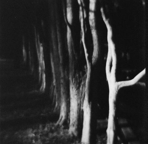 demonesss.tumblr.com/post/149155010927/