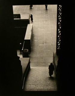 liquidnight:  Larry Silver Lower Level Staircase,