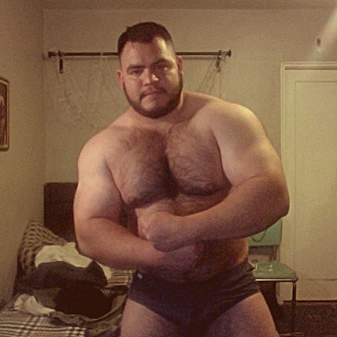 Gay beefy muscle bear men