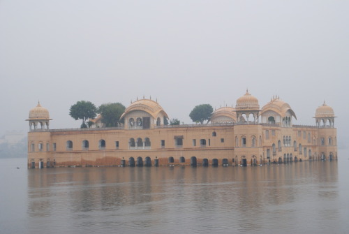 Restoration of Jal Mahal, Jaipur - palace interior and roof garden