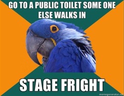 paranoid parrot.