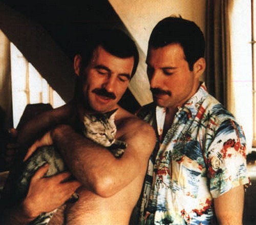 Freddie Mercury's cats