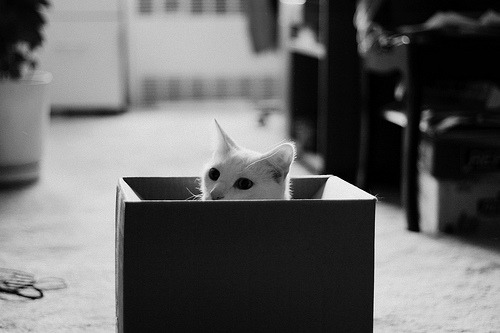 black-and-white:  (by juliette sandbox) 