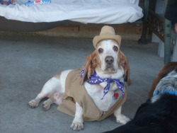 bassethound:  That get up…….. I can not deal.  Heeeerp.