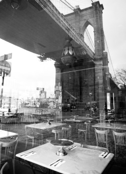 brooklyntheory:  Brooklyn Bridge, DUMBO 